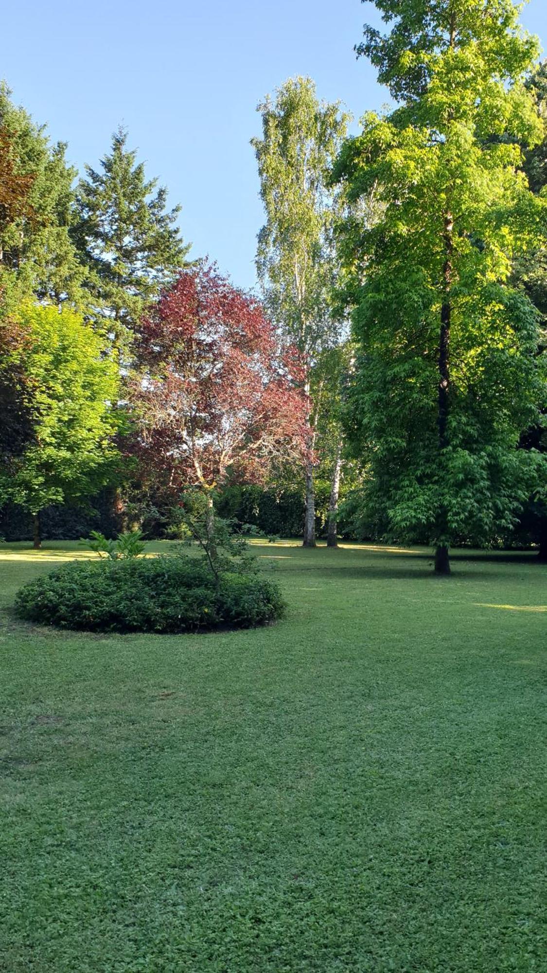 Azay-sur-Cher Verdure Tourangelle מראה חיצוני תמונה